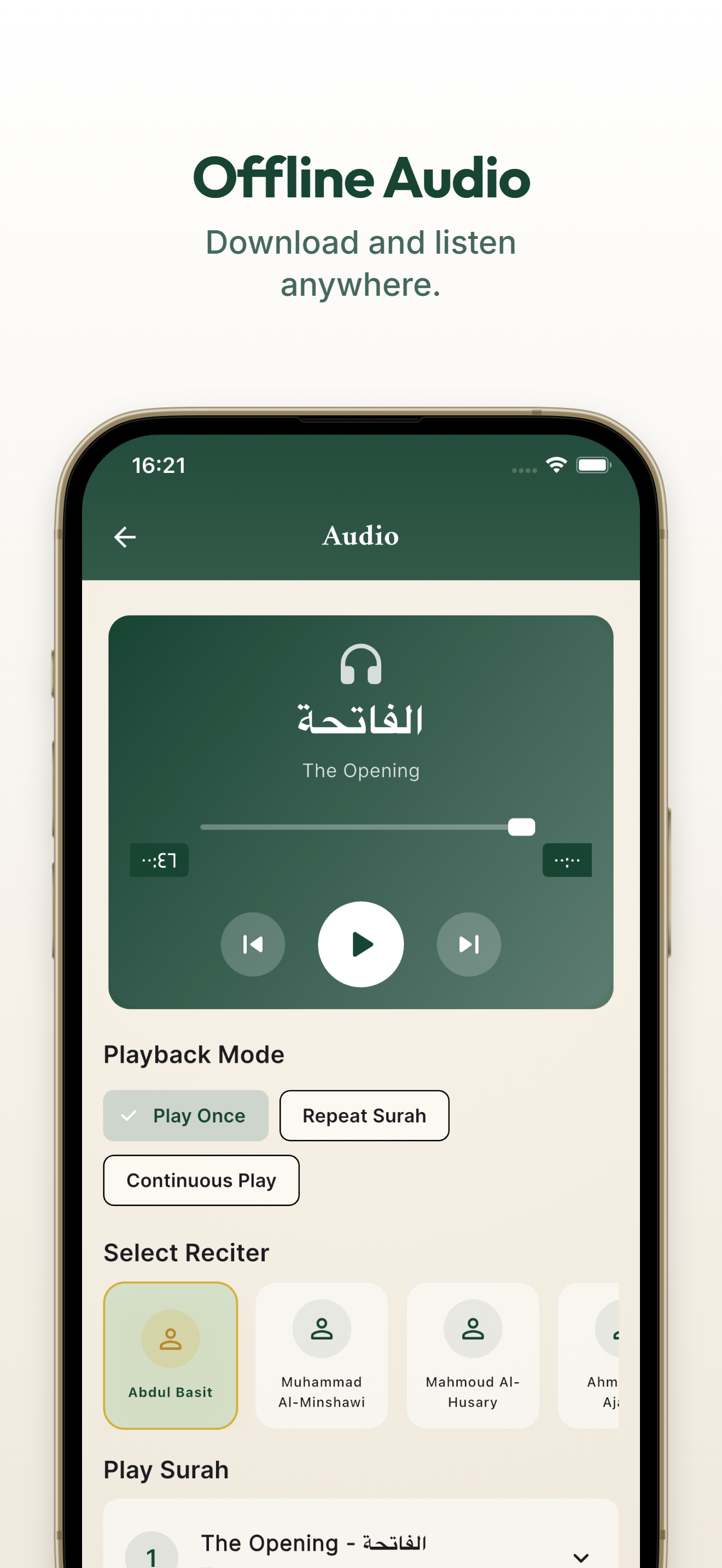Offline Audio Settings